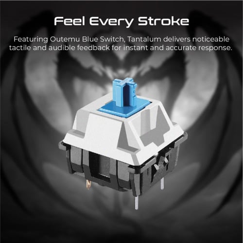 لوحة مفاتيح سلكية Vertux كاملة الحجم، تحتوي على 10...