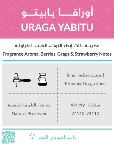 محمصة كفة - اوراقا يابيتو