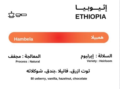 محمصة ممتد - هامبيلا