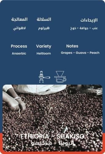 وت ثيرتي - إثيوبيا شاكيسو
