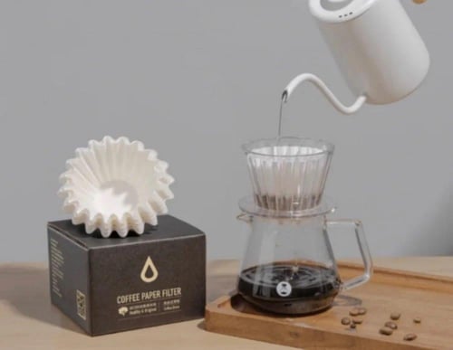 فلاتر تايمور 01 B75