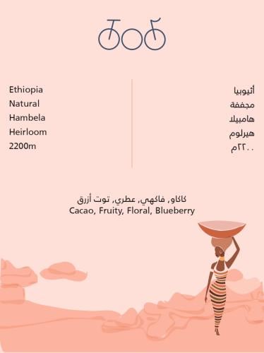 محمصة ترايسكل - أثيوبيا هامبيلا