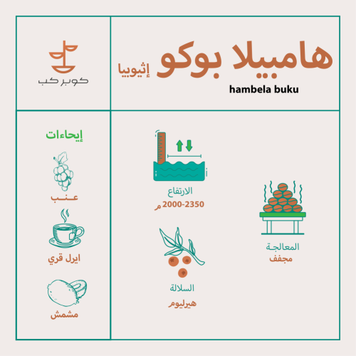 محمصة كوبر كب - إثيوبي هامبيلا بوكو