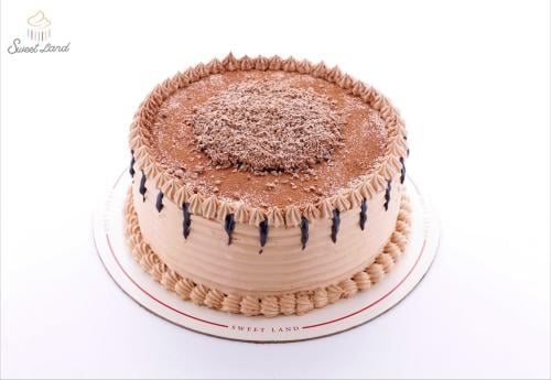 كيك الشوكلا