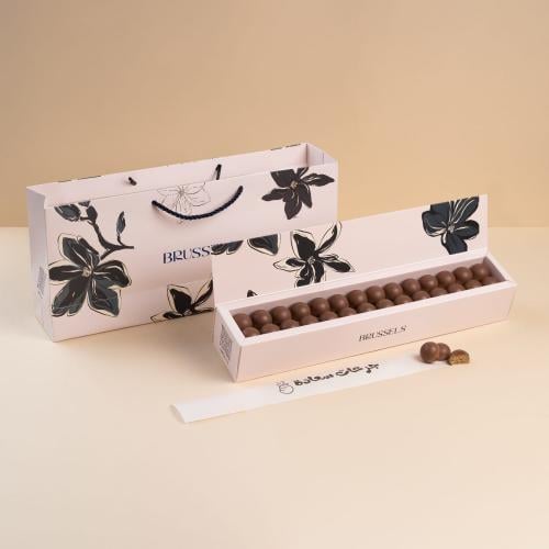 بايتي بروكسل