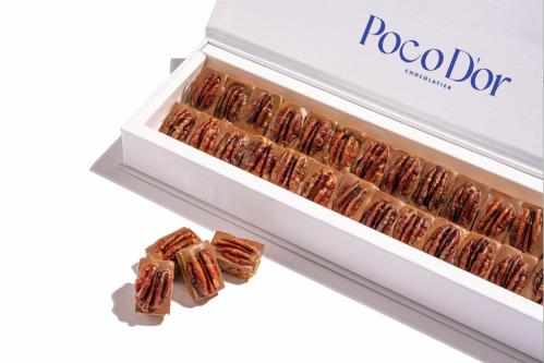 بيكان بوكودور