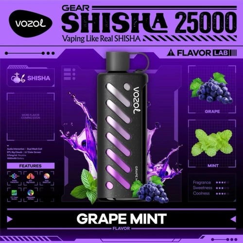 فوزول جير شيشة 25000 موشة VOZOL Gear Shisha 25000...