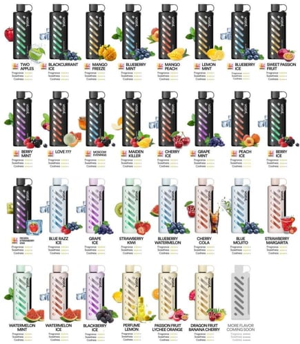 فوزول جير شيشة 25000 موشة VOZOL Gear Shisha 25000...