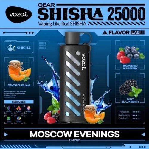 فوزول جير شيشة 25000 موشة VOZOL Gear Shisha 25000...
