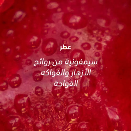 هيربل ايسنز، بلسم، ببذور العنب، للشعر المصبوغ - 40...