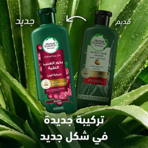 هيربل ايسنز، بلسم، ببذور العنب، للشعر المصبوغ - 40...