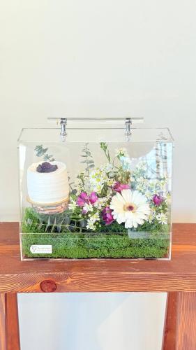 حامل تشيز كيك انيق