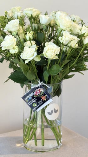 فازة البيبي روز الآبيض