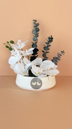 فازة الآوركيد الآبيض