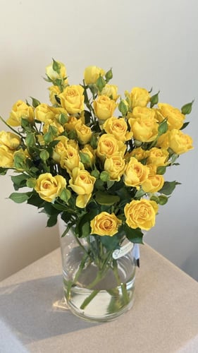 فازة البيبي روز الزاهيه