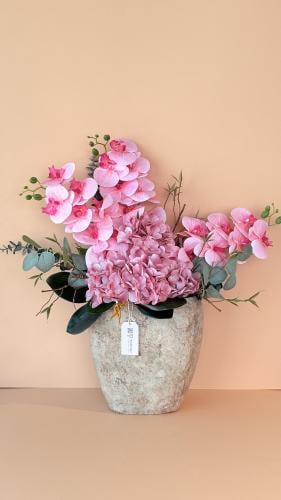 فازة الهيدرنجا الكلاسيكية