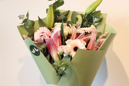 البوكيه الكوري الهولندي