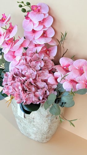 فازة الهيدرنجا الكلاسيكية