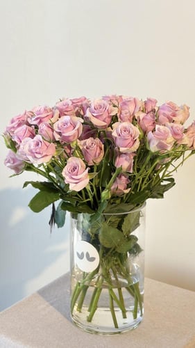 فازة البيبي روز الموف