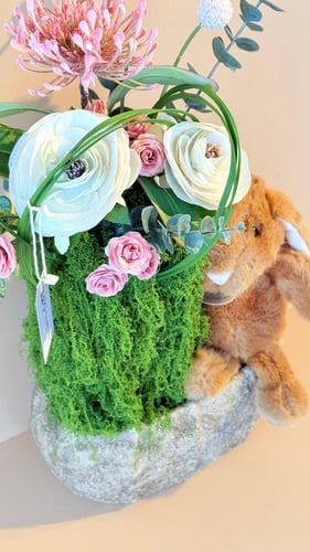 فازة الآرنب الآنيق