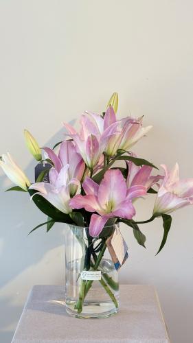 فازة الكازابلانكا الهولندية