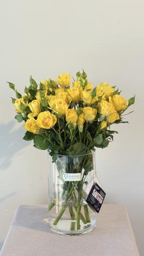 فازة البيبي روز الزاهيه