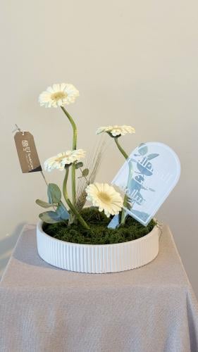 فازة الجاربيبرا الابيض