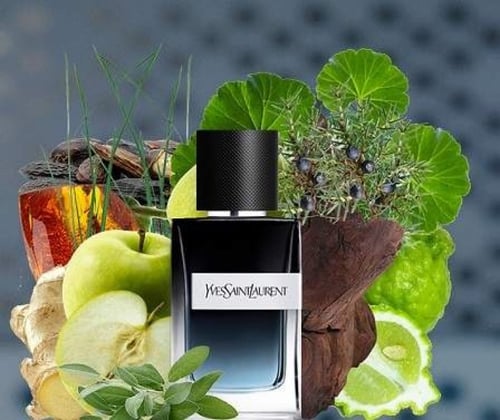 عطر ايف سان لوران واي او دو بارفيوم 100مل