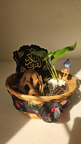 توزيعات رمضان