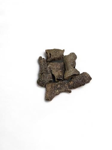 Sea shell stick