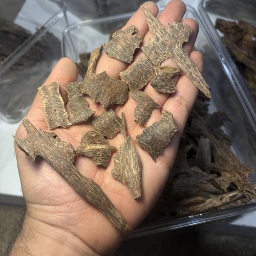 كلمنتان بونتيانك تربل