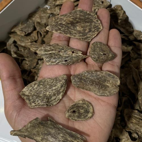 سيلاني دبل نقوه