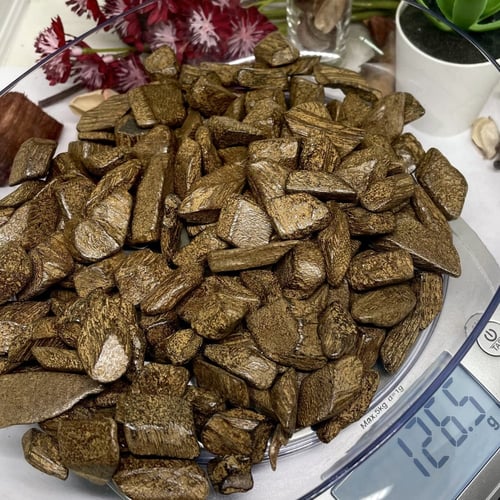 مروكي الدقة الذهبية