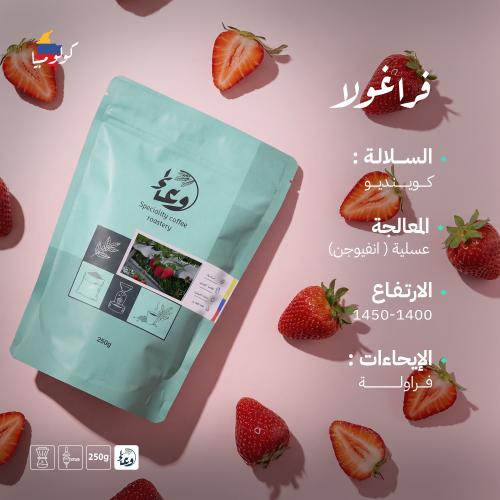 فراغولا - انفوجين