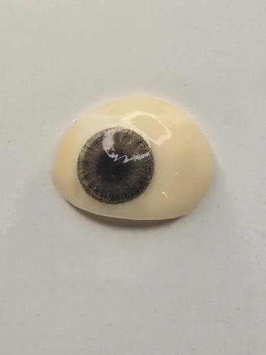 عدسات Golden السنوية