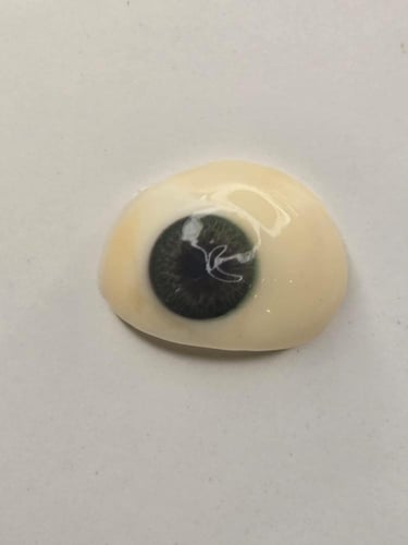 عدسات Natural Green السنوية