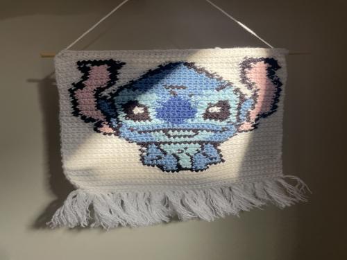 تعليقة ستيتش