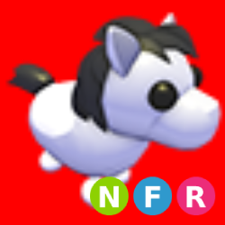 NFR Shetland Pony White