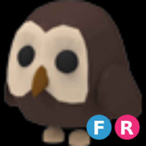 FR Owl