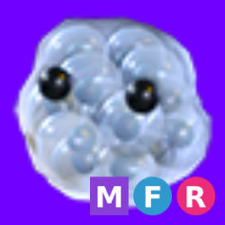 MFR Frogspawn