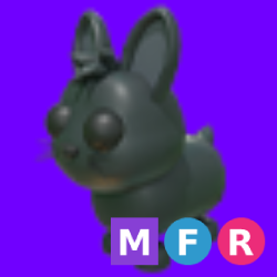 MFR Amami Rabbit