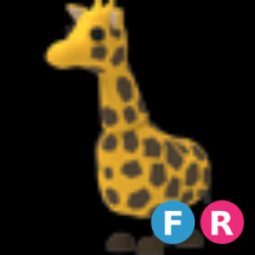 FR Giraffe
