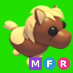 MFR Shetland Pony Dark Brown