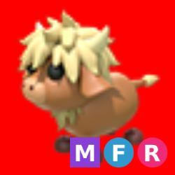 MFR Highland Cow