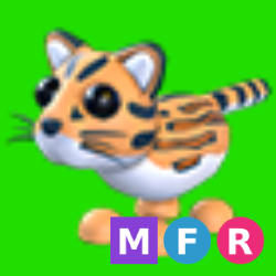 MFR Ocelot