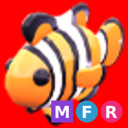 MFR Clownfish