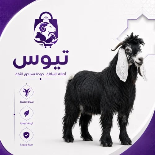 تيس طازج و وزن صافي