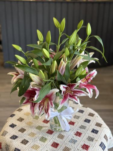 فازه ليليوم جلو