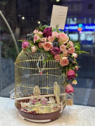 بكج نبضين وقلب