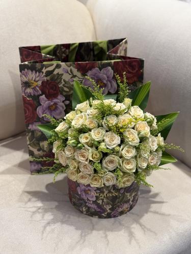 بوكس هانفوريان بلانك